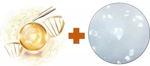 保養(yǎng)丨致宅家的你 囤吃囤喝別忘囤白,假期延長護(hù)膚可不能延時