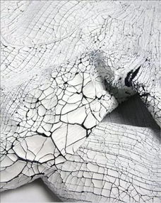 100例面料設(shè)計(jì) 一塊布的100種可能性 面料設(shè)計(jì)工藝介紹