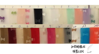 加密美國網植絨 網紗 網布 面料